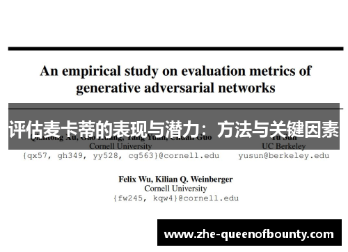 评估麦卡蒂的表现与潜力：方法与关键因素